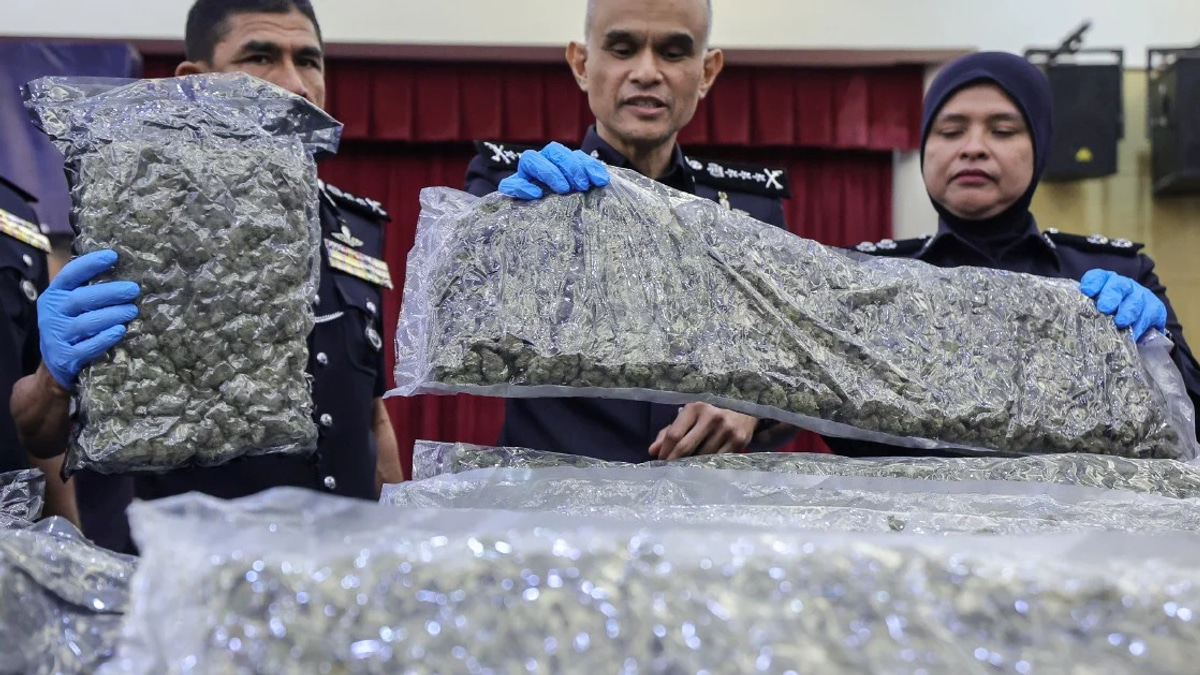 Police Intercept 650kg Cannabis at KLIA as Major Drug-Trafficking Network Dismantled