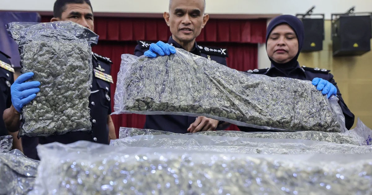 Police Intercept 650kg Cannabis at KLIA as Major Drug-Trafficking Network Dismantled